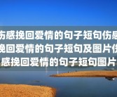 伤感挽回爱情的句子短句伤感挽回爱情的句子短句及图片伤感挽回爱情的句子短句图片