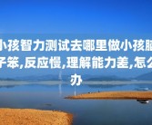 小孩智力测试去哪里做小孩脑子笨,反应慢,理解能力差,怎么办