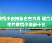 爱情小说推荐左右为男 适合男生的爱情小说前十名
