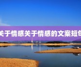 关于情感关于情感的文案短句