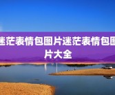 迷茫表情包图片迷茫表情包图片大全