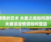 调情的艺术 夫妻之间如何调情 夫妻浪漫情调如何营造