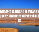婚姻感情食草动物食肉动物如何划分 动物配婚姻的好处和弊端