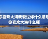 你喜欢大海我爱过你什么意思 你喜欢大海什么梗 