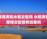 摩羯男和水瓶女配吗 水瓶男和摩羯女配能有结果吗