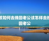 该如何去挽回老公该怎样去挽回老公