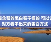 最含蓄的表白看不懂的 可以让对方看不出来的表白方式 