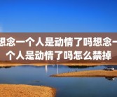 想念一个人是动情了吗想念一个人是动情了吗怎么禁掉