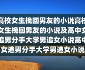 高校女生挽回男友的小说高校女生挽回男友的小说及高中女追男分手大学男追女小说高中女追男分手大学男追女小说