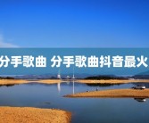 分手歌曲 分手歌曲抖音最火 