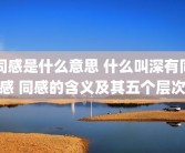 同感是什么意思 什么叫深有同感 同感的含义及其五个层次