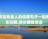 怀念死去人的伤感句子一别再无归期,你长眠我常念