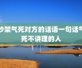 吵架气死对方的话语一句话气死不讲理的人