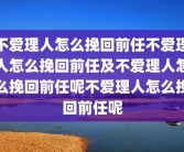 不爱理人怎么挽回前任不爱理人怎么挽回前任及不爱理人怎么挽回前任呢不爱理人怎么挽回前任呢
