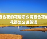 百合花的花语怎么说百合花的花语怎么说英语