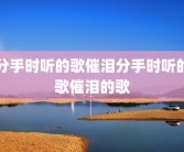 分手时听的歌催泪分手时听的歌催泪的歌