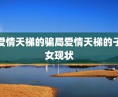 爱情天梯的骗局爱情天梯的子女现状