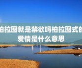 柏拉图就是禁欲吗柏拉图式的爱情是什么意思