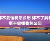 你不会懂我怎么想 你不了解我更不会懂我怎么回