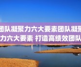 团队凝聚力六大要素团队凝聚力六大要素 打造高绩效团队