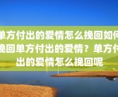 单方付出的爱情怎么挽回如何挽回单方付出的爱情？单方付出的爱情怎么挽回呢