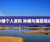 孙楠个人资料 孙楠与潘蔚现状 