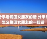 分手后挽回女朋友的话 分手后怎么挽回女朋友的一段话 