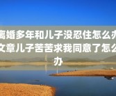 离婚多年和儿子没忍住怎么办文章儿子苦苦求我同意了怎么办