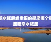 跟水瓶超级幸福的星座哪个星座暗恋水瓶座