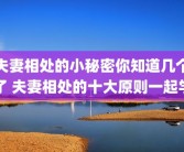 夫妻相处的小秘密你知道几个了 夫妻相处的十大原则一起学