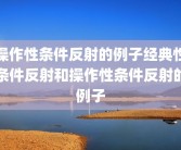操作性条件反射的例子经典性条件反射和操作性条件反射的例子