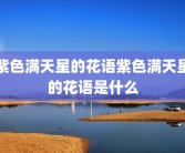 紫色满天星的花语紫色满天星的花语是什么