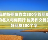 我的好朋友作文300字以朋友的名义与你同行 优秀作文我的好朋友300个字