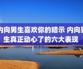 内向男生喜欢你的暗示 内向男生真正动心了的六大表现 