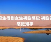男生得到女生初吻感觉 初吻的感觉知乎 