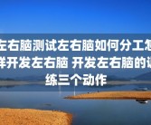 左右脑测试左右脑如何分工怎样开发左右脑 开发左右脑的训练三个动作