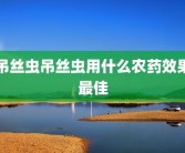 吊丝虫吊丝虫用什么农药效果最佳