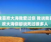 我喜欢大海我爱过你 我说我喜欢大海你却说死过很多人 