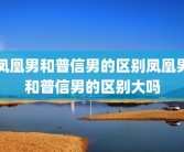 凤凰男和普信男的区别凤凰男和普信男的区别大吗