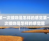 第一次接吻是怎样的感觉第一次接吻是怎样的感觉呢