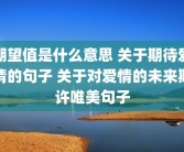 期望值是什么意思 关于期待爱情的句子 关于对爱情的未来期许唯美句子