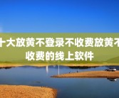 十大放黄不登录不收费放黄不收费的线上软件