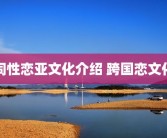 同性恋亚文化介绍 跨国恋文化