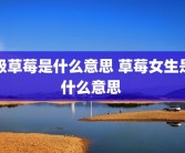 吸草莓是什么意思 草莓女生是什么意思 