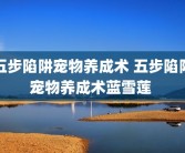 五步陷阱宠物养成术 五步陷阱宠物养成术蓝雪莲 
