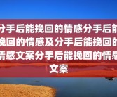 分手后能挽回的情感分手后能挽回的情感及分手后能挽回的情感文案分手后能挽回的情感文案