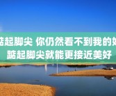 踮起脚尖 你仍然看不到我的好 踮起脚尖就能更接近美好