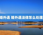 婚外遇 婚外遇法律怎么处理 