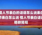 情人节表白的话语怎么说表白节表白怎么说 情人节表白话语精辟简短