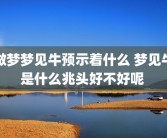 做梦梦见牛预示着什么 梦见牛是什么兆头好不好呢 